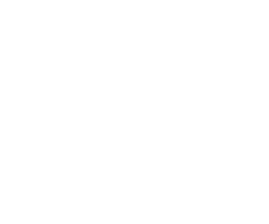 MERIT Solutions